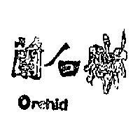 白蘭 ORCHID 