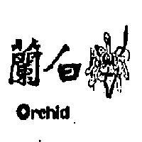 白蘭 ORCHID 
