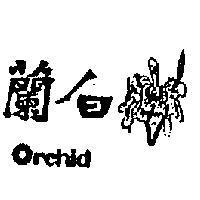 白蘭 ORCHID 
