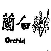 白蘭 ORCHID 