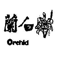 白蘭 ORCHID 
