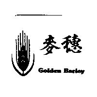 麥穗 Golden Barley 及圖