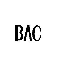 BAC 設計圖