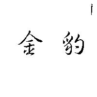 金豹