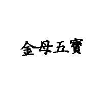 金母五寶