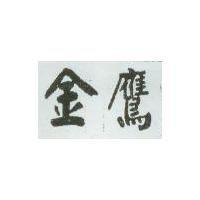 金鷹