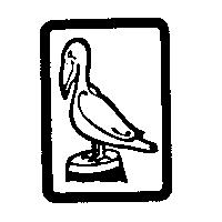 鳥圖