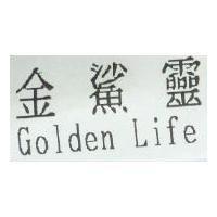 金鯊靈 Golden Life