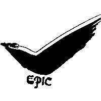 EPIC 及圖