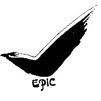 EPIC 及圖