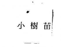 小樹苗
