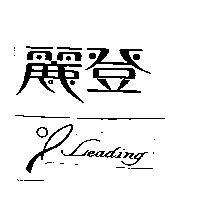麗登 L Leading