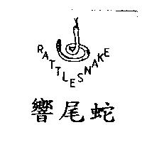 響尾蛇 RATTLE SNAKE 及圖