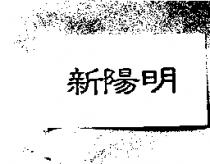 新陽明