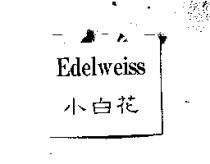 小白花 Edelweiss