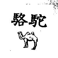 駱駝及圖