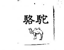 駱駝及圖