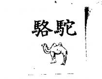 駱駝及圖