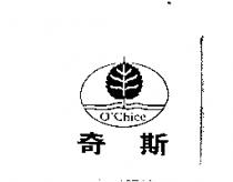 奇斯及圖 O'CHICE