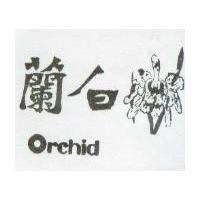 白蘭 ORCHID 
