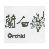 白蘭 ORCHID 