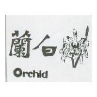 白蘭 ORCHID 