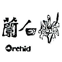 白蘭 ORCHID 