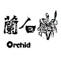 白蘭 ORCHID 