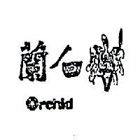 白蘭 ORCHID 