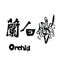 白蘭 ORCHID 