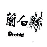 白蘭 ORCHID 
