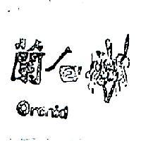 白蘭 ORCHID 