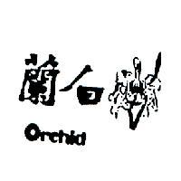 白蘭 ORCHID 