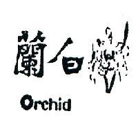 白蘭 ORCHID 
