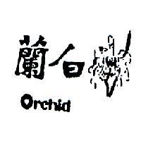 白蘭 ORCHID 