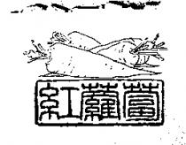 紅蘿蔔及圖