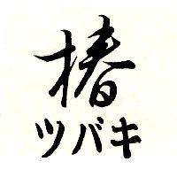 椿ツバキ