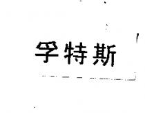 孚特斯