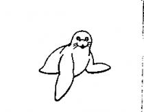 海獅圖