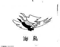 海鳥及圖