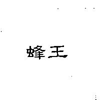 蜂王