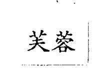 芙蓉