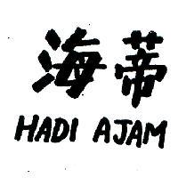 海蒂 HADI AJAM 