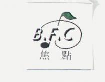 焦點及圖 B.F