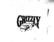 Grizzly 及圖