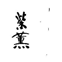 紫薰