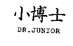 小博士 DR.JUNIOR