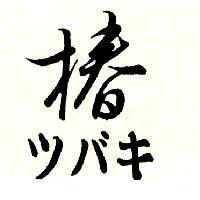 椿ツバキ