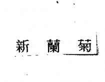 新蘭菊