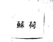 蘇荷
